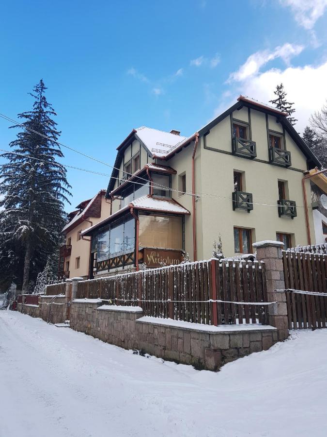 Villa Atriolum BaileTusnad Exterior photo